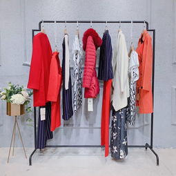 爱莉缇纳 一柯锦绣女装品牌折扣店的魅力探析——以杭州女装与鞋帽零售为例