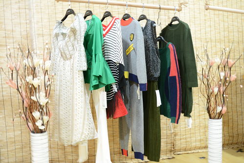 品牌女装折扣店成功之道 货源为王，魅之女秋装尾货与鞋帽零售的双赢策略